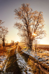 sunset, road, brumby, rural, winter, snow, sunstar, golden hour, germany, 2022, Rural Germany, photo