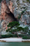 torrent, tree, beach, coast, lagoon, mallorca, spain, 2011, Spain, photo