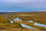 river, tundra, autumn, farm, sunset, iceland, 2016, Iceland, photo