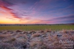 morning, sunrise, brumby, grassland, frost, cold, tundra, sun, germany, Stock Images Germany, photo