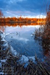 lake, winter, sunset, leipzig, frozen, reed, shoreline, germany, 2013, photo