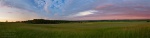 brumby, grass, sunset, panorama, germany, 2010, photo