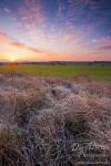morning, sunrise, brumby, sunstar, grassland, frost, cold, tundra, sun, germany, Stock Images Germany, photo