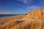 beach, sunset, baltic sea, grass, golden, weststrand, shore, germany, 2014, photo