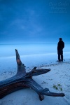 sunset, beach, baltic sea, wood, waves, twilight, men, Stock Images Germany, photo