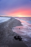 sunset, baltic sea, winter, snow, beach, weststrand, coast, germany, 2015, Stock Images Germany, photo