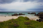 beach, bay, coast, rugged, remote, wildflowers, scotland, 2014, photo