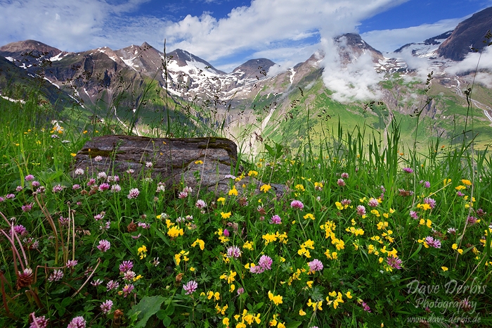 meadow, alpes, mountain, hohe tauern, national park, austria,, photo