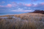 ocean, baltic sea, sunset, weststrand, winter, grass, dune, beach, germany, 2016, photo
