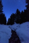 forest, winter, snow, harz, night, stars, stream, germany, Stock Images Germany, photo
