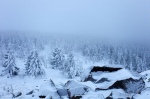 winter, hiking, wolfswarte, harz, snow, nationalpark, Winterwanderung / Fototour zur Wolfswarte im Winter - Harz, photo