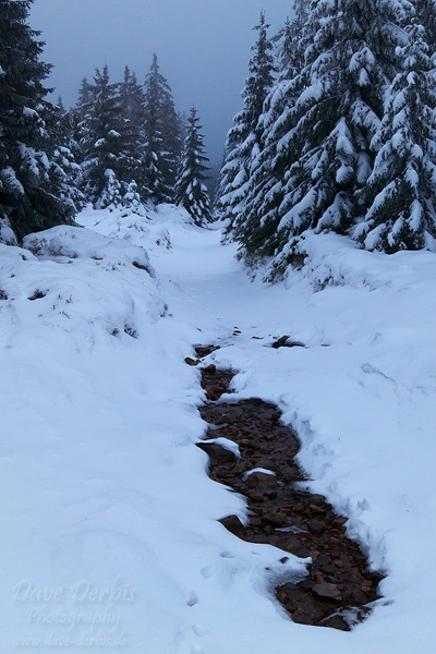 winter, hiking, wolfswarte, harz, snow, nationalpark, photo
