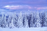 harz, winter, snow, forest, sunset, mountains, germany, 2021, Best Landscape Photos of 2021, photo