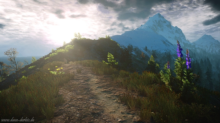 witcher 3, game, ingame, photography, screenshot, skellige, 2016, photo