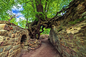 Best Landscape Photos of 2023