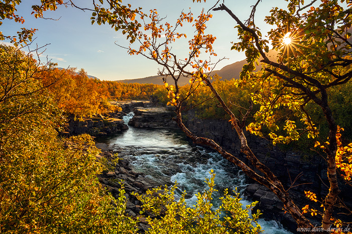 golden hour, sun, autumn, foliage, canyon, river, stream, arctic, sweden, 2024, photo