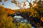 golden hour, sun, autumn, foliage, canyon, river, stream, arctic, sweden, 2024, photo