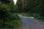 hiking, harz, forest, summer, leistenklippe, hohnekamm, germany, 2013, Wanderung zur Leistenklippe, photo
