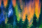 abstract, lake, reflection, autumn, fall, foliage, woods, forest, tree, mountain, italy, 2025, photo
