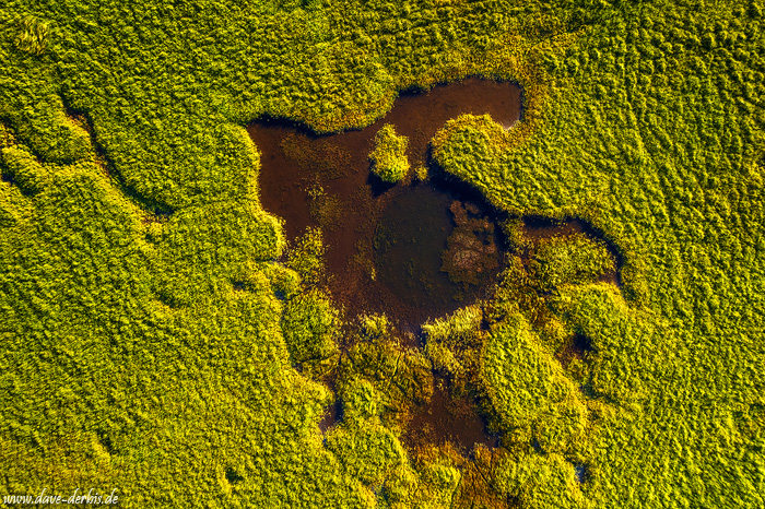 abstract, drone, aerial, lake, pond, north, arctic, topdown, iceland, 2022, photo