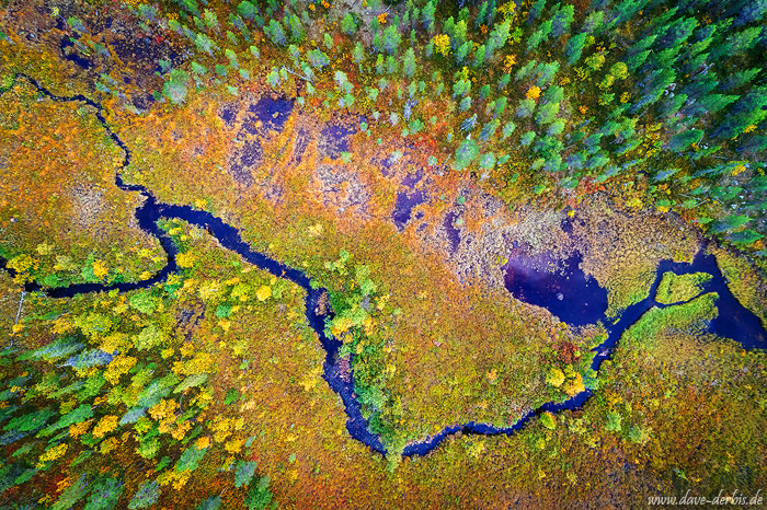aerial, drone, wilderness, abstract, topdown, forest, river, woods, sweden, 2024, photo