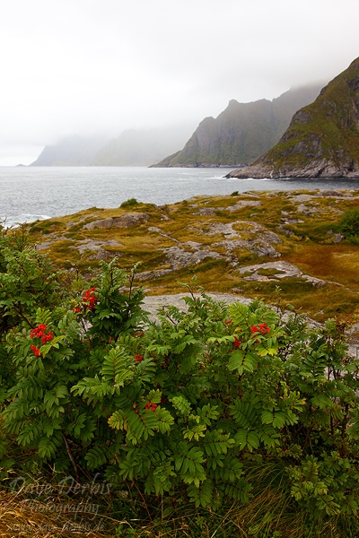 mountain, rain, rugged, shore, ocean, lofoten, norway, 2013, photo