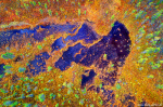 topdown, aerial, drone, arctic, forest, lake, pond, abstract, autumn, fall, foliage, lapland, sweden, 2024, photo
