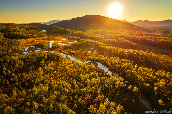 golden hour, forest, river, drone, aerial, stream, sun, sunset, senja, norway, 2022, photo
