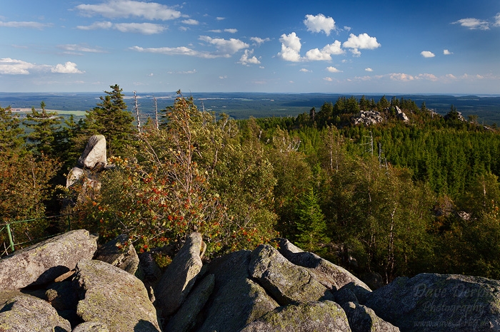 hiking, harz, forest, summer, leistenklippe, hohnekamm, germany, 2013, photo