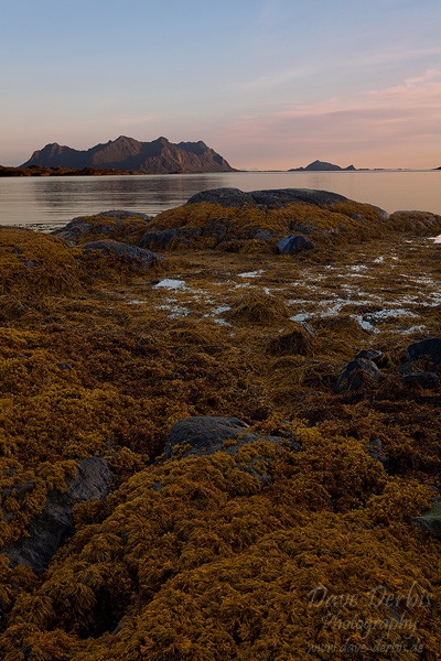 fjord, sunset, island, lofoten, norway, 2013, photo