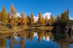 lake, reflection, autumn, fall, trees, mountains, alpes, dolomites, italy, 2015, Italy, photo