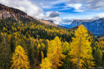 forest, foliage, autumn, woods, woodland, tree, fall, mountains, valley, alps, dolomites, italy, 2025, photo