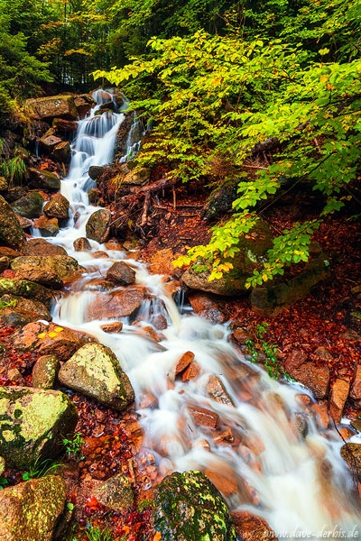 harz, forest, autumn, fall, creek, cascade, stream, waterfall, mountains, germany, 2020, photo
