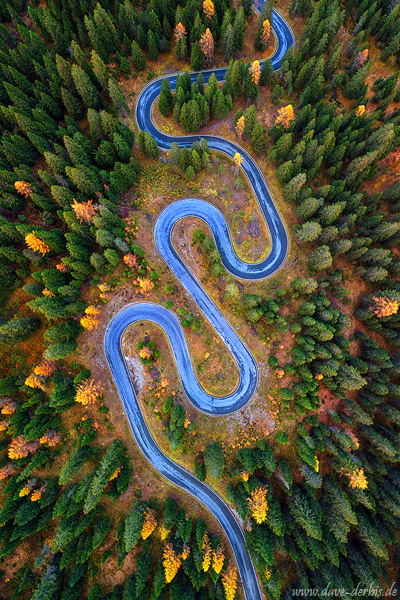 roadshot, road, mountain, forest, autumn, fall, aerial, topdown, drone, dolomites, alps, italy, 2025, photo