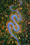 roadshot, road, mountain, forest, autumn, fall, aerial, topdown, drone, dolomites, alps, italy, 2025, photo