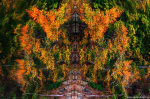 fall, autumn, foliage, lake, reflection, forest, abstract, germany, 2022, photo