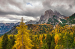 forest, foliage, autumn, woods, woodland, tree, fall, mountains, alps, dolomites, italy, 2025, photo