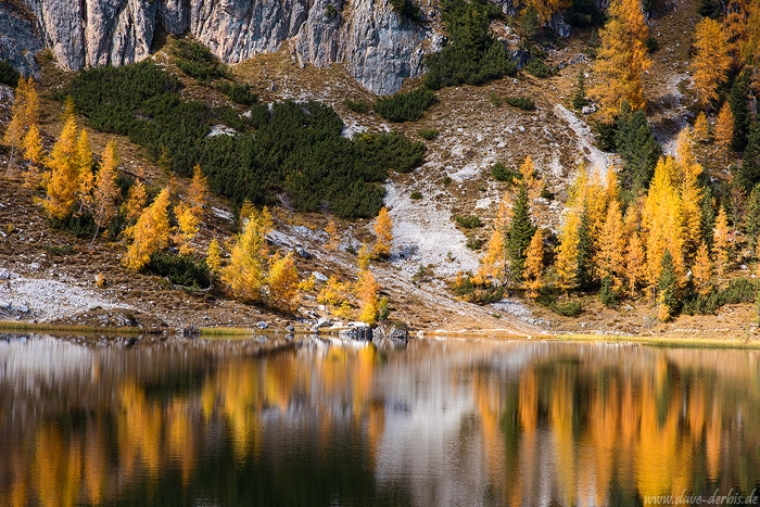 lake, reflection, autumn, fall, trees, mountains, alpes, dolomites, italy, 2015, photo