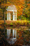 lake, reflection, autumn, forest, mirror, foliage, leipzig, germany, 2021, photo