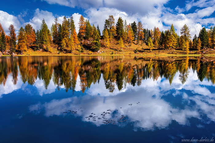 autumn, fall, foliage, reflection, lake, mountains, dolomites, mirror, october, italy, 2018, photo