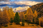 mountain, alp, dolomites, sunset, pass, woods, forest, foliage, autumn, italy, 2025, photo