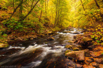 fall, autumn, foliage, river, stream, bode, valley, harz, forest, germany, 2022, Germany, photo