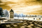 memorial, bergenbelsen, concentration camp, kz, bergen, belsen, gedenkstätte, konzentrationslager, anne frank, photo