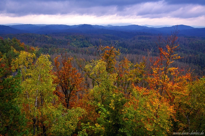 vista, autumn, fall, foliage, forest, mountains, saxon switzerland, germany, 2020, photo