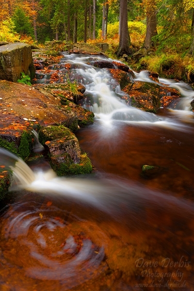 autumn, stream, forest, harz, national park, cascade, 2011, photo