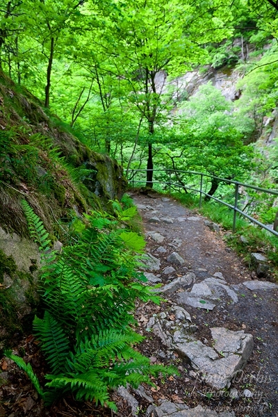 hiking, harz, bode, bodetal, thale, trail, tour, 2012, photo