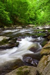 bode, river, thale, harz, forest, summer, germany, photo