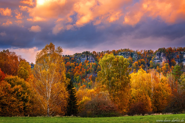fall, autumn, forest, foliage, storm, sunset, mountains, bohemian switzerland, 2021, photo