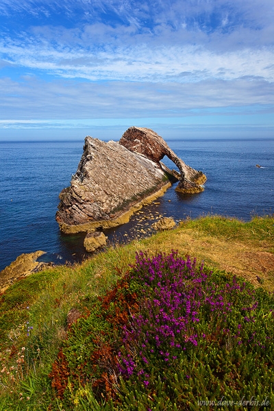 rock, coast, rugged, shore, ocean, scotland, 2014, photo
