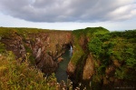 cave, cliff, coast, rugges, birds, scotland, 2014, photo